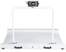 Wheelchair Scale