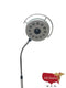 ASM Minor Procedure Light-Lights-All States M.E.D.