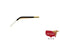 Ellman Electrode Small Hole Loops-All States M.E.D.