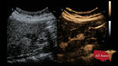 Mindray DC-70 FULL HD Ultrasound-Ultrasounds-All States M.E.D.
