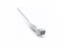 Sonosite P21X Cardiac Transducer Probe